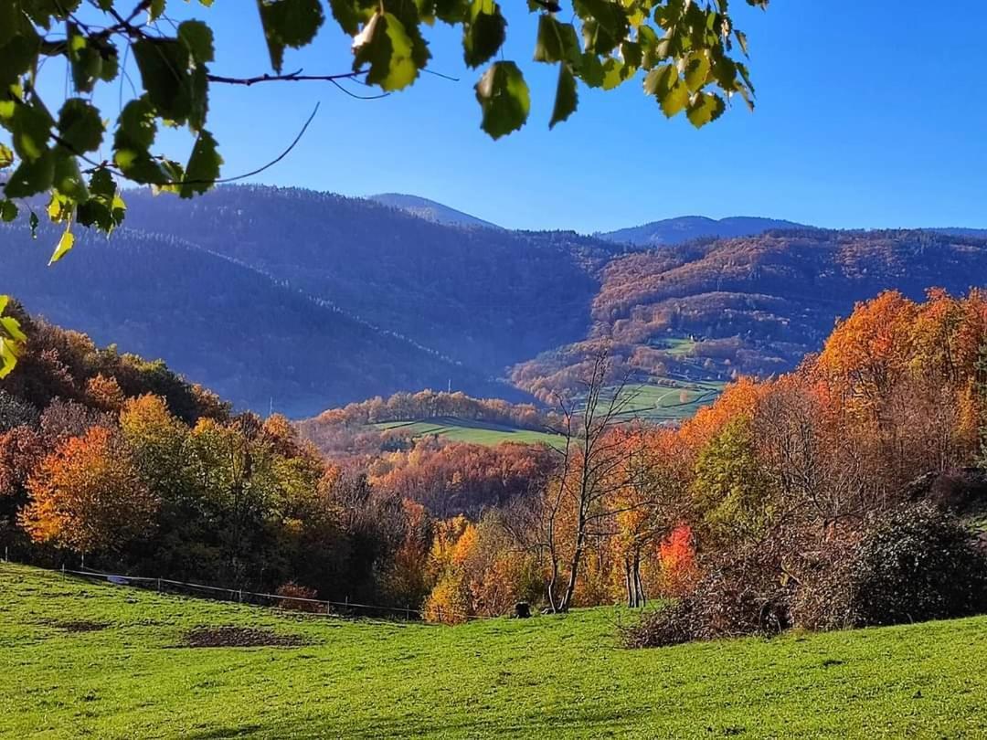 Gite A La Source Breitenbach Luaran gambar