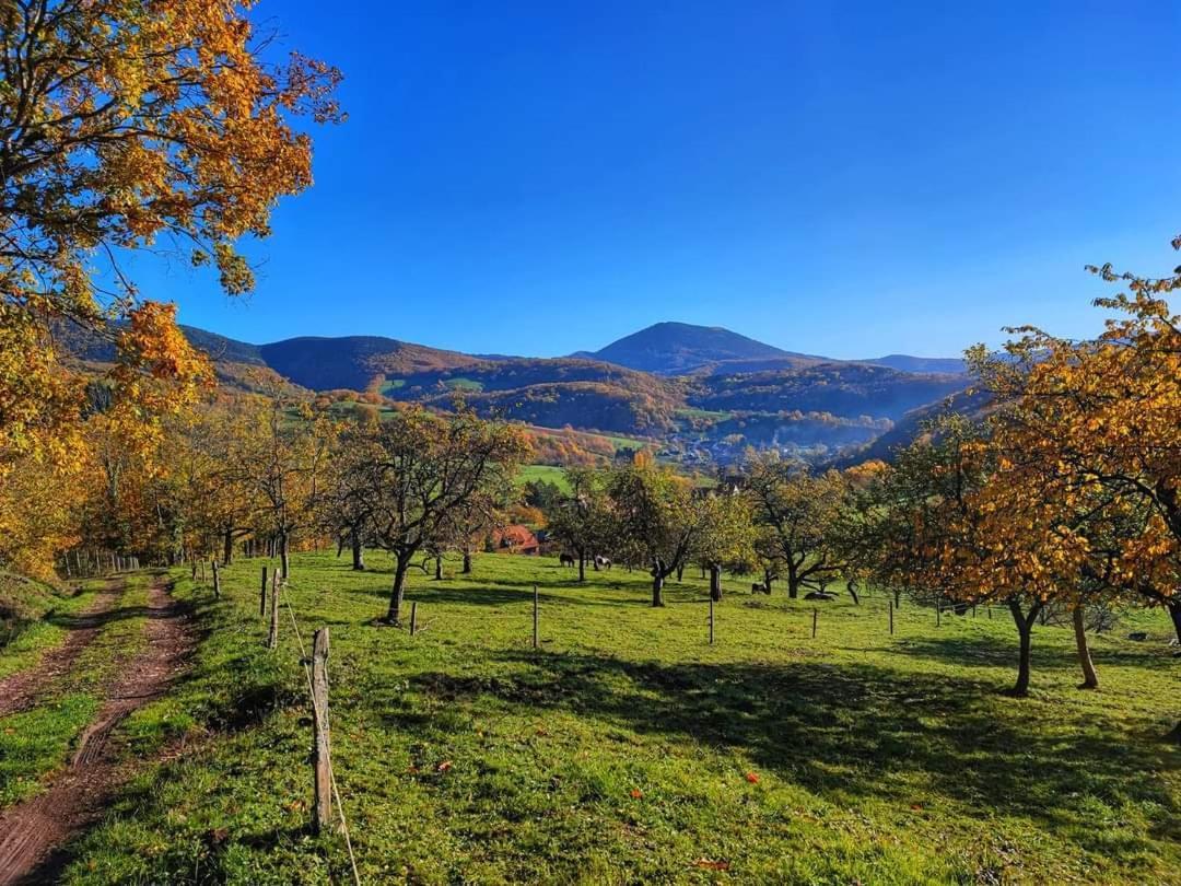 Gite A La Source Breitenbach Luaran gambar
